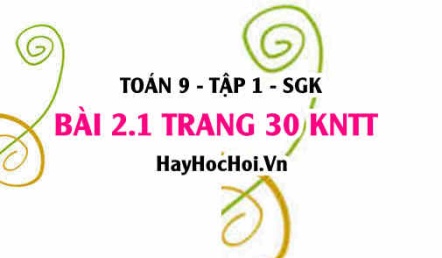 Bài 2.1 trang 30 Toán 9 tập 1 Kết nối tri thức